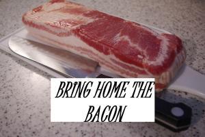 bring home the bacon IDIOM