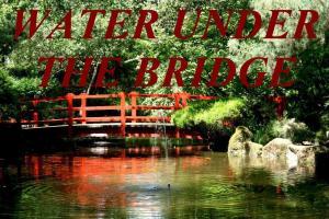 WATER UNDER THE BRIDGE IDIOM