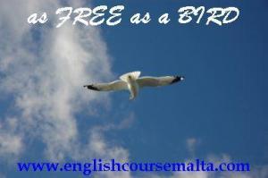 as free as a bird