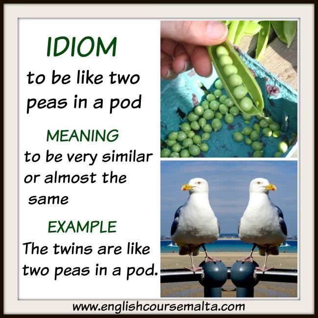 Idiom two peas in a pod, idiom meaning two things are the same