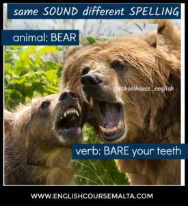 bear animal bare your teeth homophones
